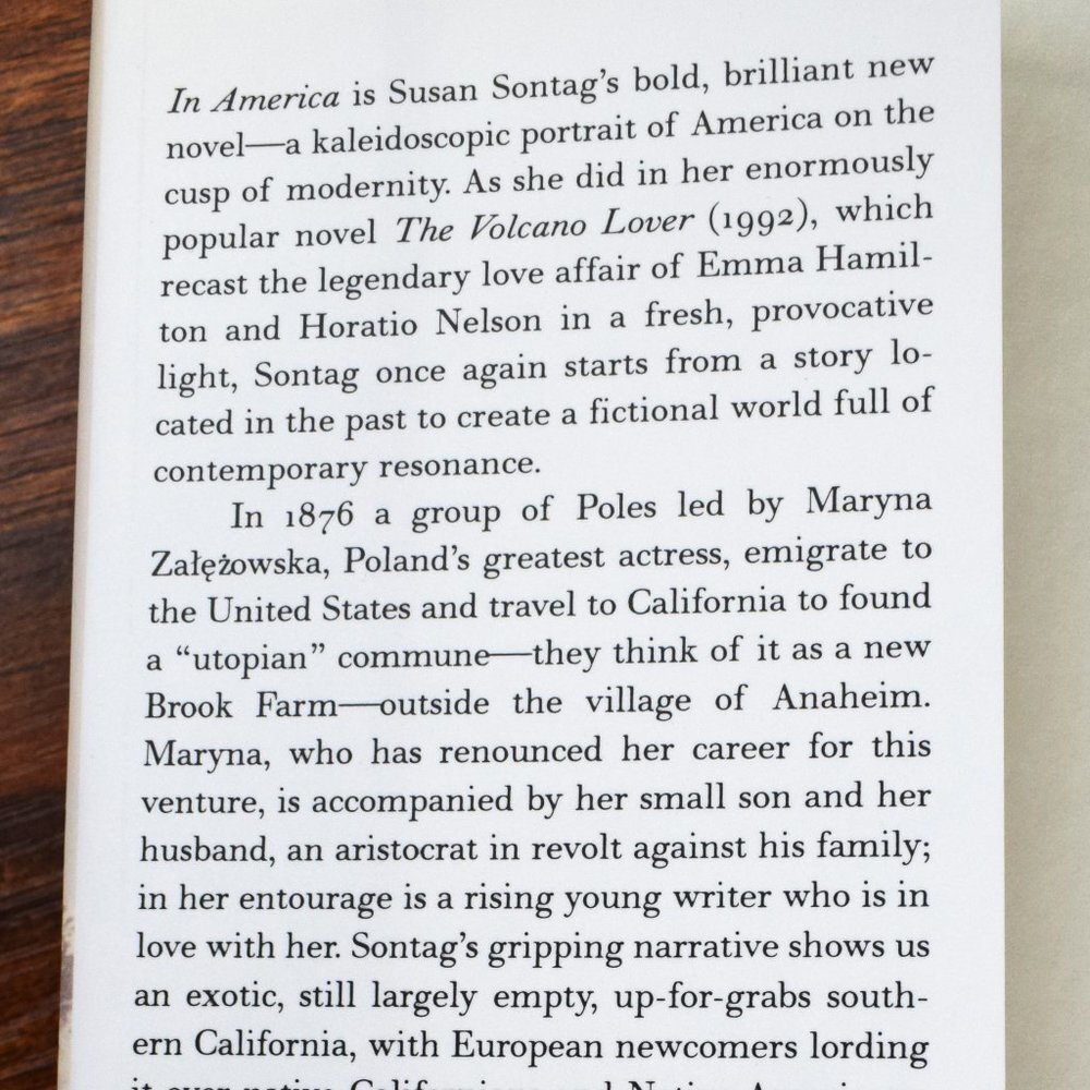 Susan Sontag book  "In America: A Novel" - Picture 3 of 5